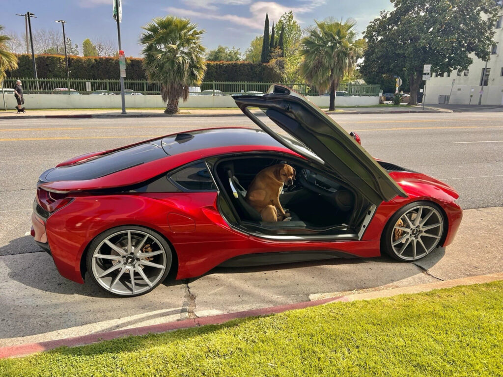 2015 BMW i8 Showcar: Impeccably Maintained Custom Clean